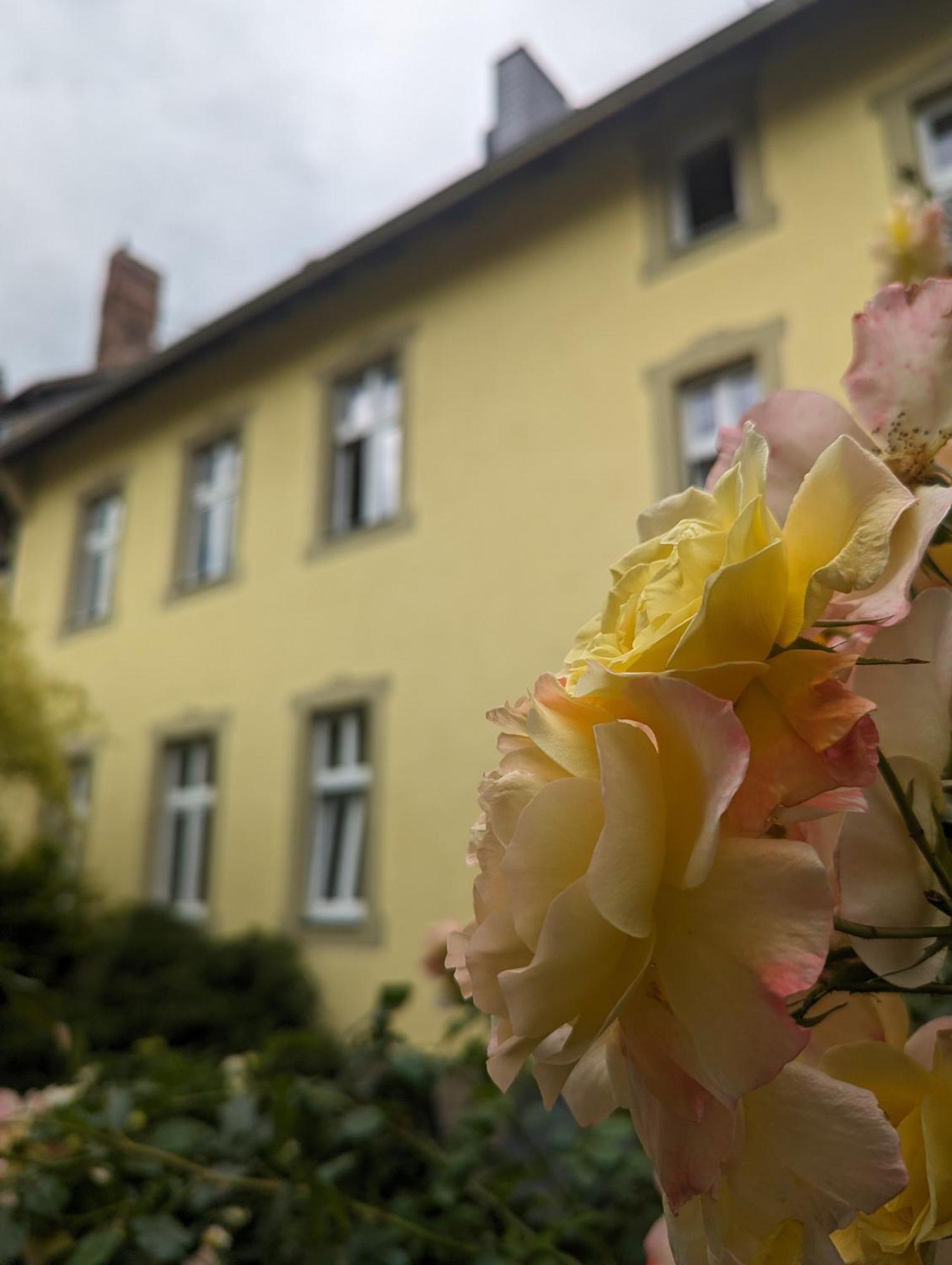 Atelier Wolkenschloss Wernigerode Exteriér fotografie